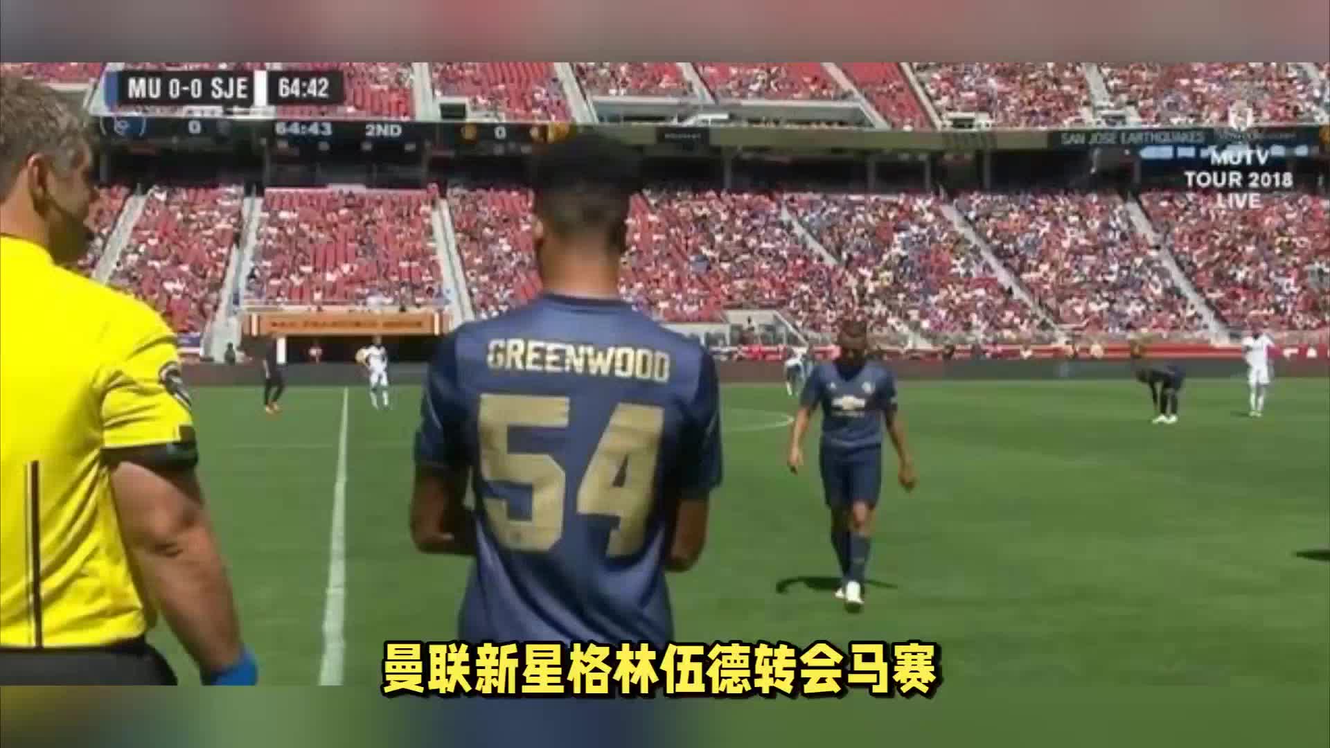 赛中什琴斯